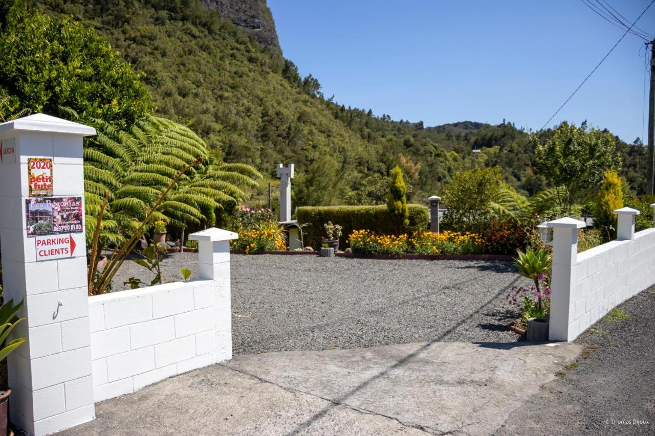 Les Begonias Villa Cilaos Buitenkant foto