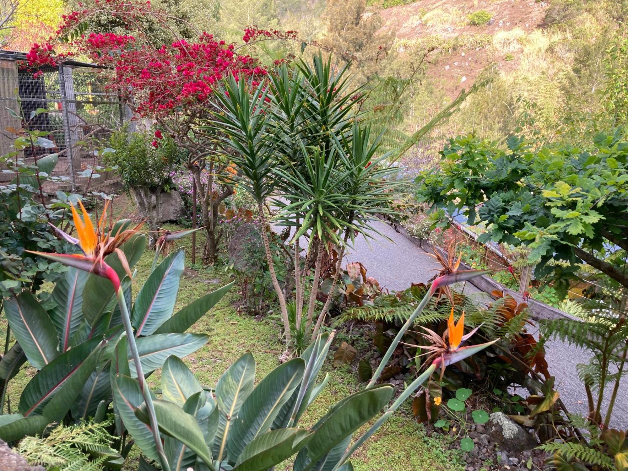 Les Begonias Villa Cilaos Buitenkant foto