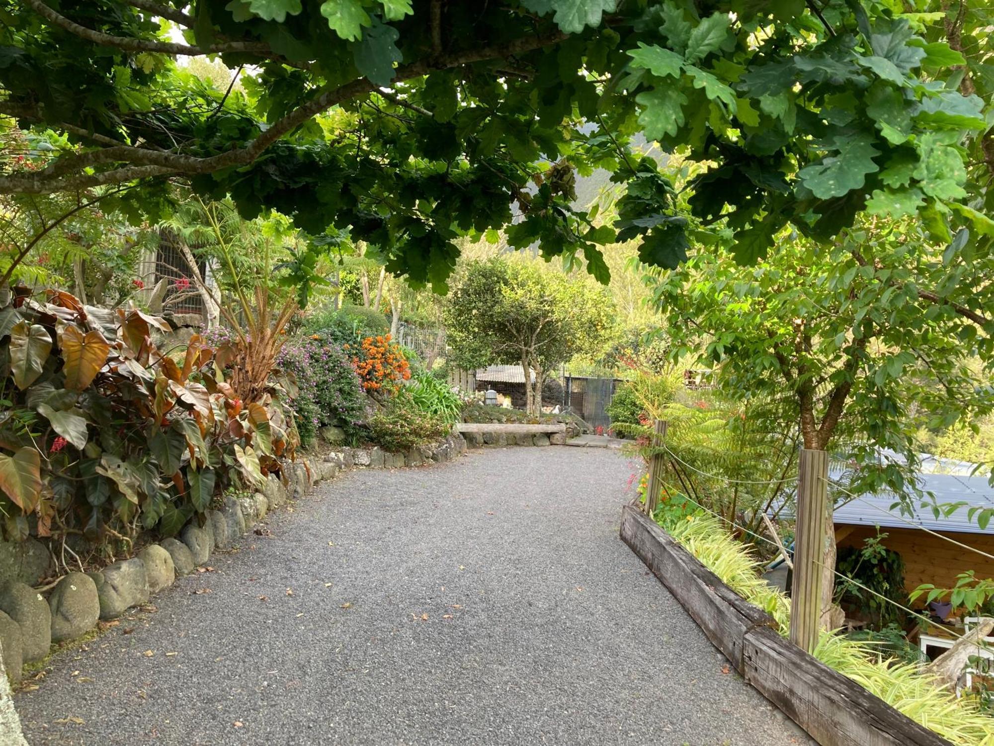 Les Begonias Villa Cilaos Buitenkant foto