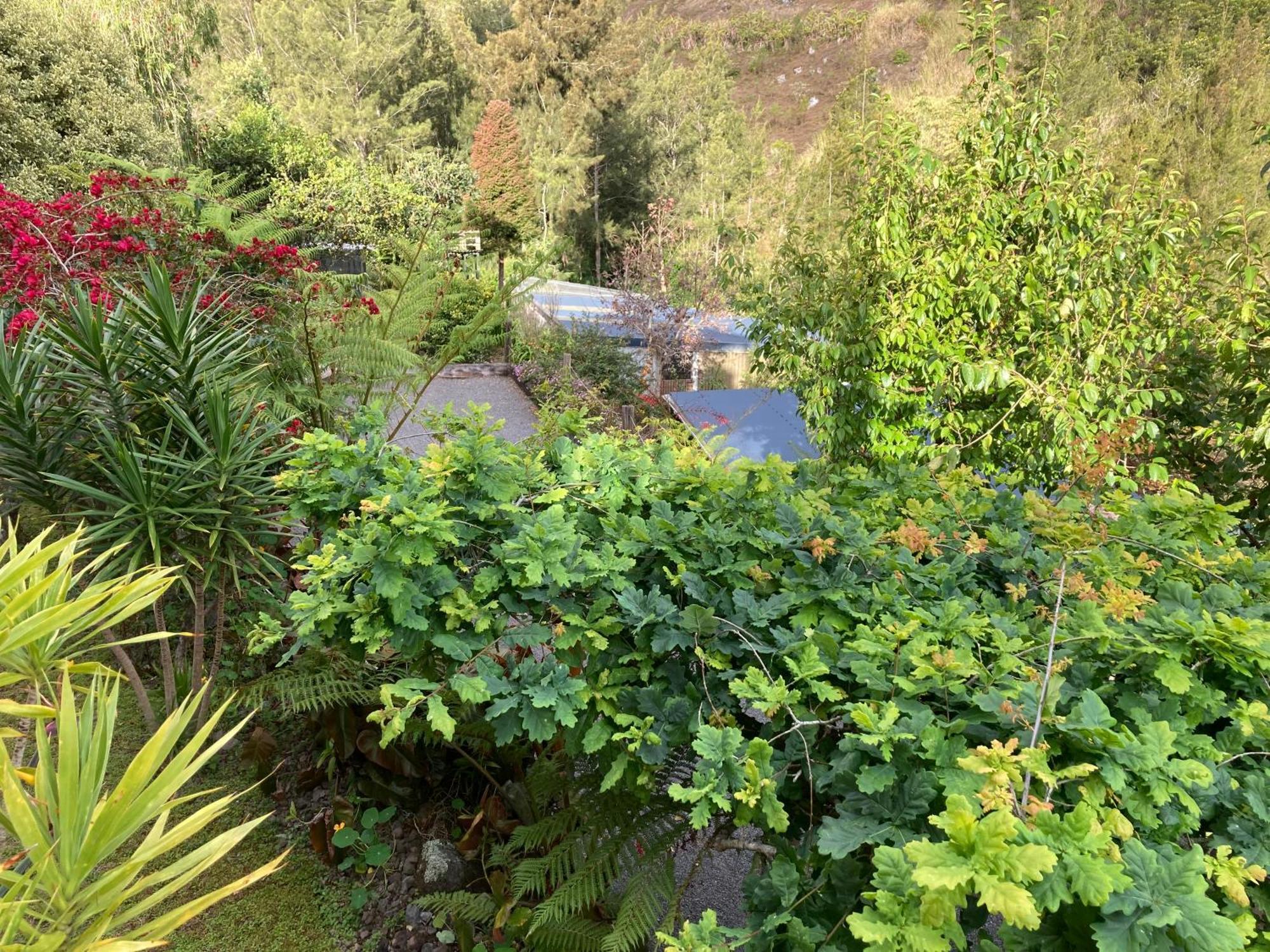 Les Begonias Villa Cilaos Buitenkant foto