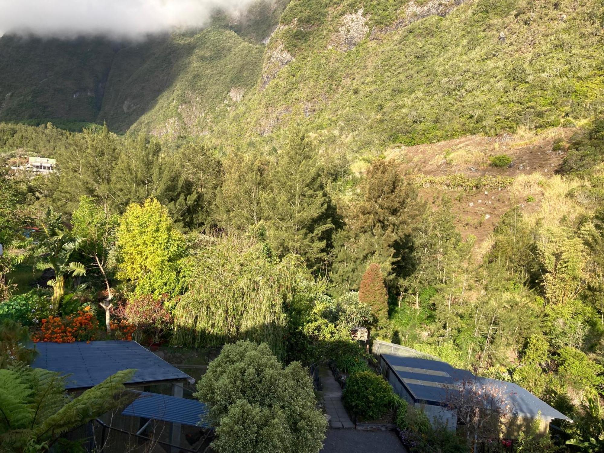 Les Begonias Villa Cilaos Buitenkant foto