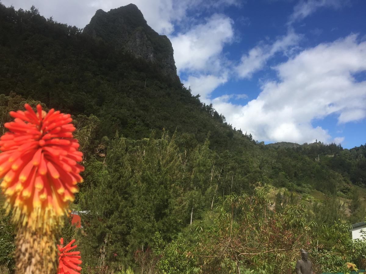 Les Begonias Villa Cilaos Buitenkant foto
